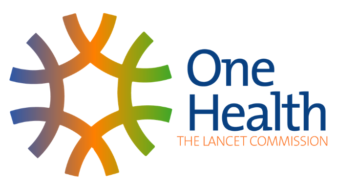 The Lancet Global Health Commission - Global Eye Health