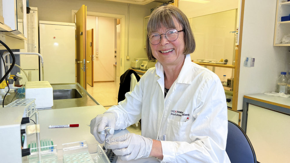 Bildet viser en kvinne i labfrakk som jobber i et laboratorium