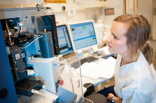 Image of doctoral student Louise Risnes sorting out lymphocytes from tissue samples