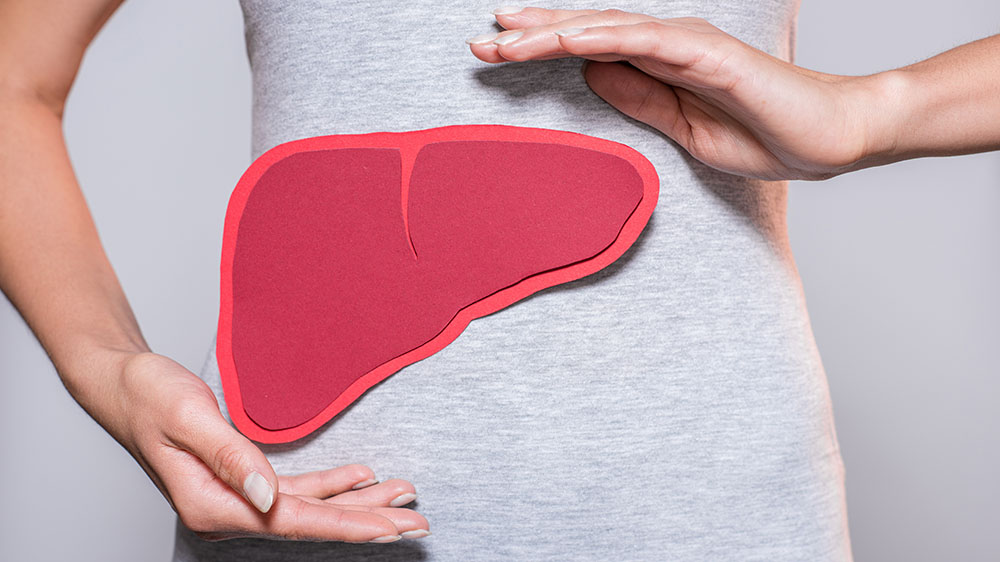 Image of a person holding a liver made of paper in front