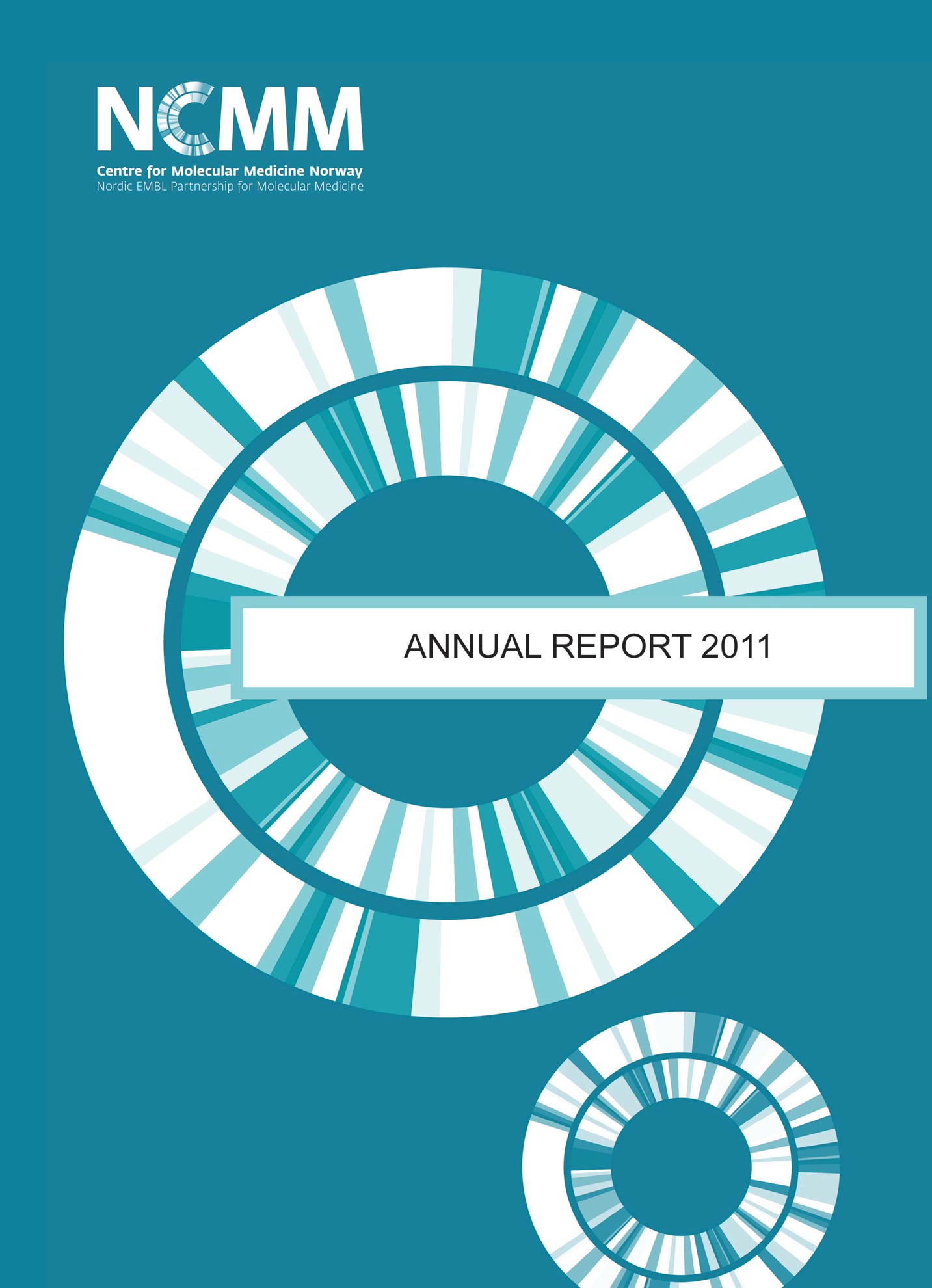 2011 report