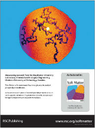 Screenshot of front page cover of journal Soft matter, no 8, 2012.