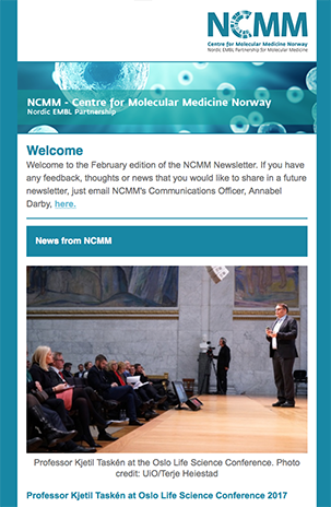 Screenshot of NCMM Newsletter