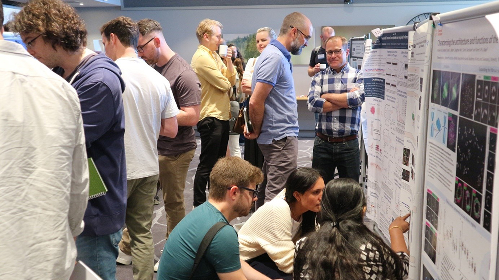 Poster session at the Dynamic Kinetochore workshop 2022
