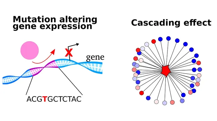 Left panel shows DNA strand with single point mutation leading to blocked gene expression. Right panel shows lines radiating from a single point, illustrating regulatory networks