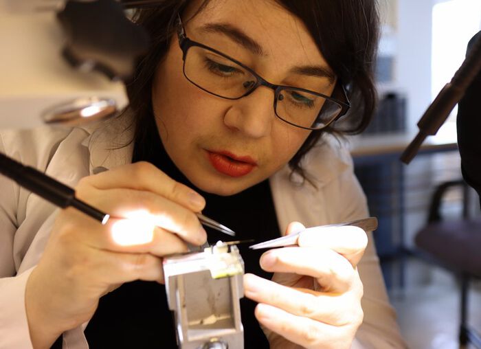 Dr Charlotte Boccara working in the lab