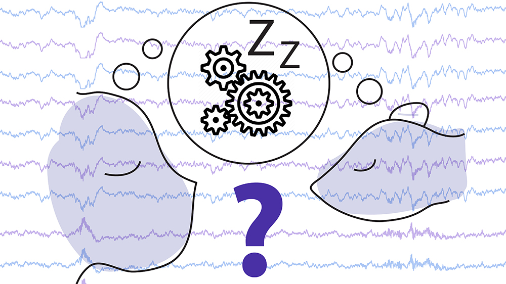 Illustration of a mouse and human dreaming with a questionmark and brain wave decodings in the background