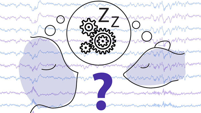 Illustration of a mouse and human dreaming with a questionmark and brain wave decodings in the background