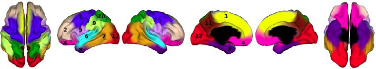 Figur 1: Genetisk kort over de menneskelige corticale overfladeområder. Tilpasset fra Chen et al. (2012), Science 335: 1634-1636.