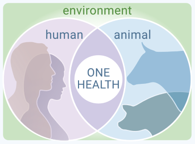 Illustrasjon med delvis overlappende sirkler som viser at mennesker, dyr og miljø henger sammen